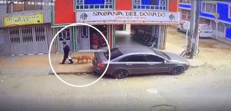 El video ya suma millones de reproducciones en Facebook y ha sido compartido cerca de 40 mil veces.