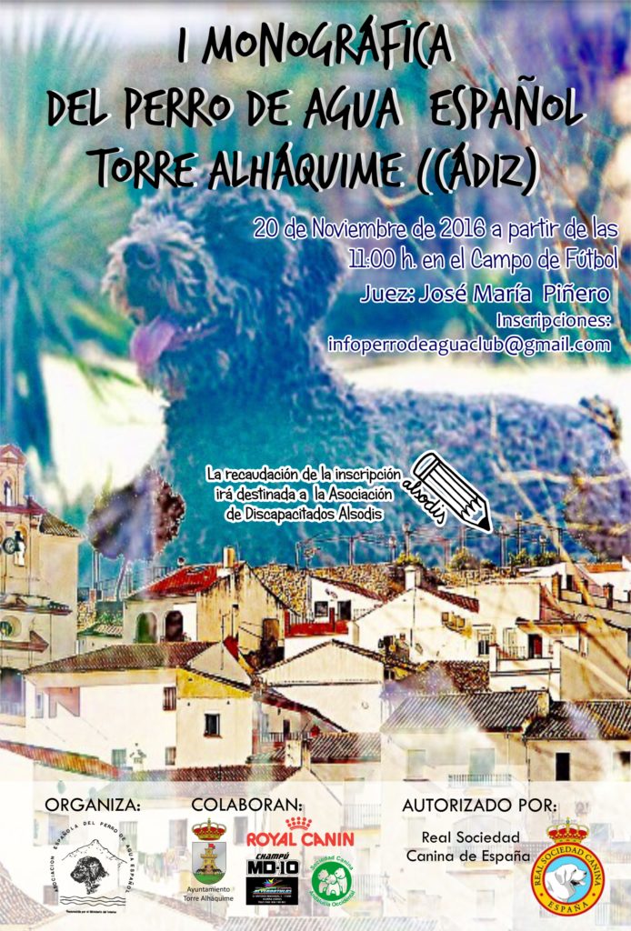 Perro de Agua Español. Belleza. I MONOGRÁFICA DEL PERRO DE AGUA ESPAÑOL (Cádiz España) Perro de Agua Español. Belleza. I MONOGRÁFICA DEL PERRO DE AGUA ESPAÑOL (Cádiz España)