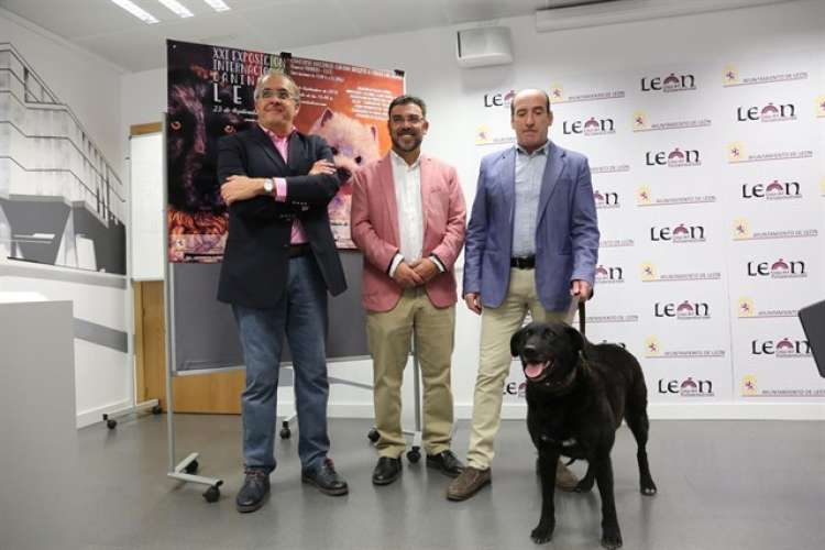 Momento de la presentación Foto AYUNT. DE LEÓN. Momento de la presentación Foto AYUNT. DE LEÓN.