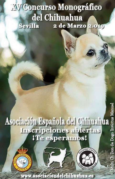 EXPOSICIÓN MONOGRÁFICA DEL CHIHUAHUA