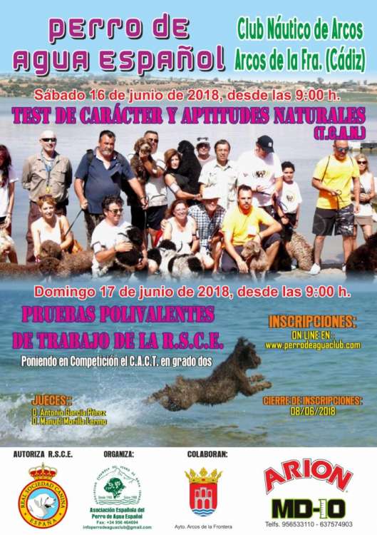 Perro de Agua Español. Trabajo. TEST DE CARÁCTER Y APTITUDES NATURALES PRUEBAS POLIVALENTES DE TRABAJO DE LA RSCE (Cádiz España) Perro de Agua Español. Trabajo. TEST DE CARÁCTER Y APTITUDES NATURALES PRUEBAS POLIVALENTES DE TRABAJO DE LA RSCE (Cádiz España)