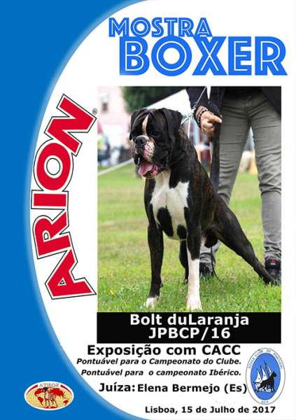 Boxer Club de Portugal - Belleza. 34.ª Exposición Monográfica Regional do Boxer (CAC QC) (Lisboa   Portugal)