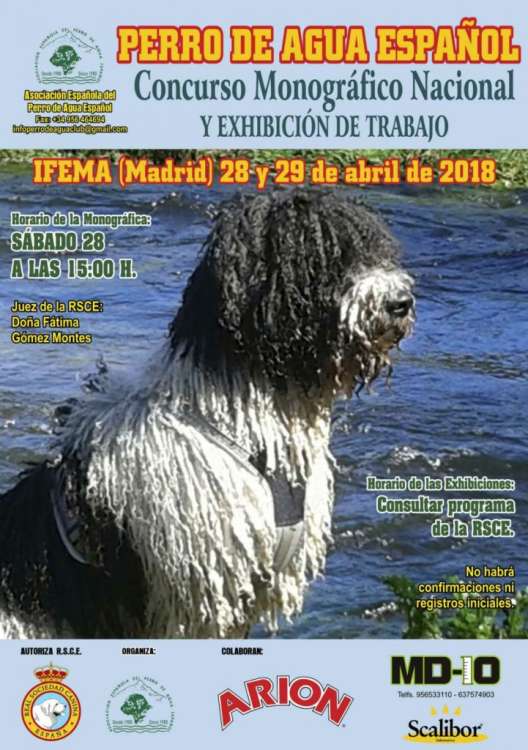 ASOCIACIÓN ESPAÑOLA DEL PERRO DE AGUA ESPAÑOL - Belleza. Concurso Monográfico Nacional y Exhibición de Trabajo del perro de agua Español (Madrid   España)