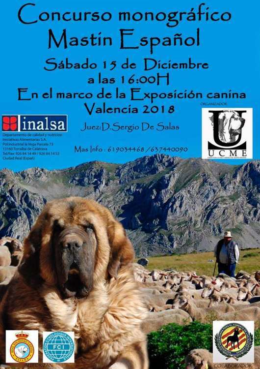 CONCURSO MONOGRÁFICO DE MASTÍN ESPAÑOL