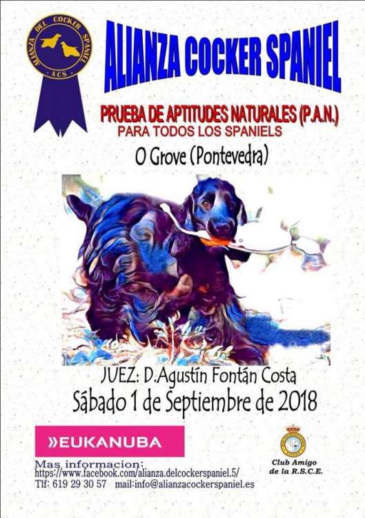 Otros. PRUEBA DE ACTITUDES NATURALES P.A.N. (Pontevedra   España)