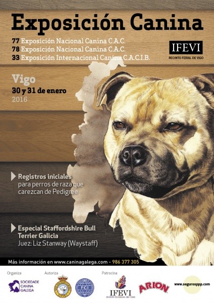 Belleza. 77 Exposición Nacional Canina CAC (Pontevedra - España)