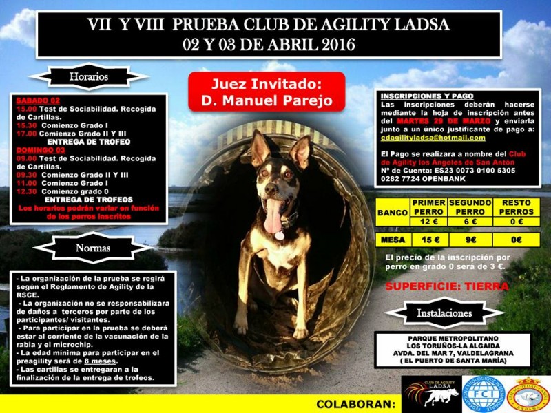Agility. VII y VIII Prueba de Agility (Cádiz   España)