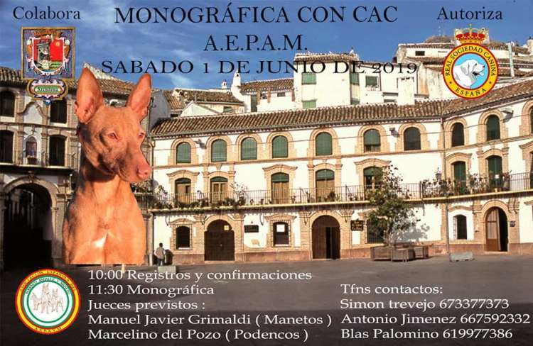 PETSmania - EXPOSICIÓN MONOGRÁFICA DEL PODENCO ANDALUZ Y MANETO