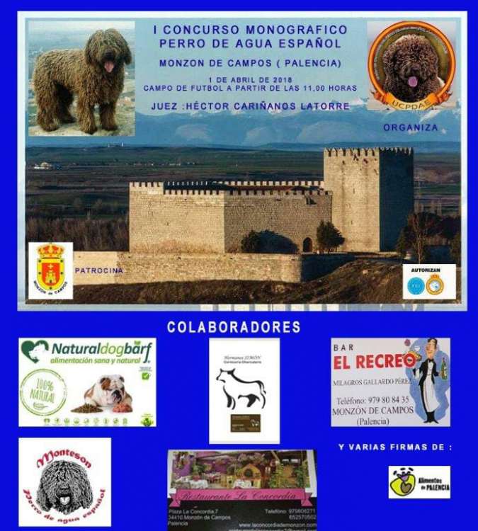 Belleza. I Concurso Monográfico de Perro de Agua Español  (Palencia   España)