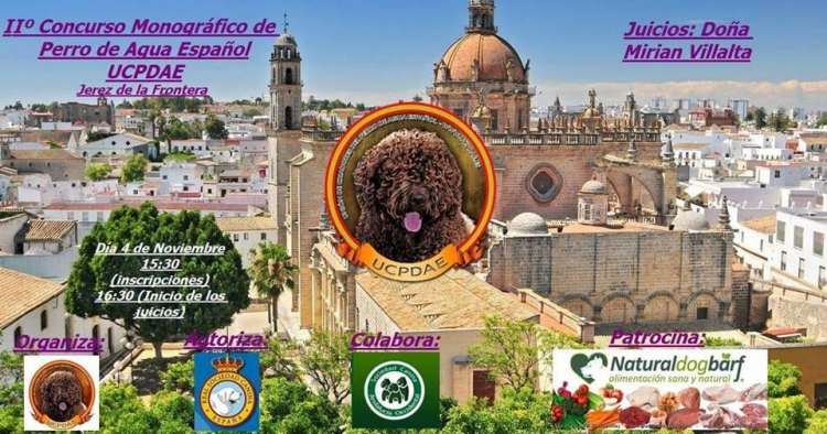 Perro de Agua Español. Belleza. II CONCURSO MONOGRÁFICO DEL PERRO DE AGUA ESPAÑOL UCPDAE (Cádiz España) Perro de Agua Español. Belleza. II CONCURSO MONOGRÁFICO DEL PERRO DE AGUA ESPAÑOL UCPDAE (Cádiz España)