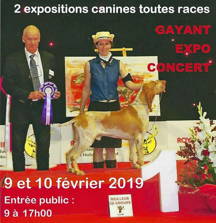 2 EXPOSITIONS CANINE INTERNATIONALE (CACS   CACIB)