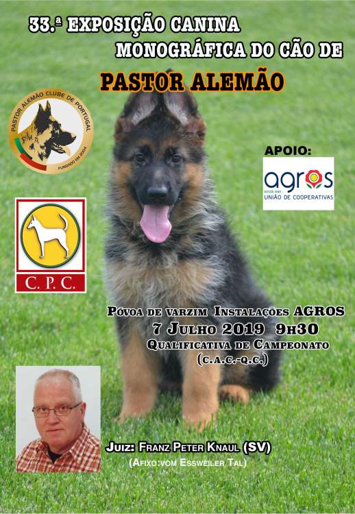 Pastor Alemán. Belleza. 33.ª Exposición Canina Monográfica do Cão do Pastor Alemão (CAC QC) (Porto   Portugal)
