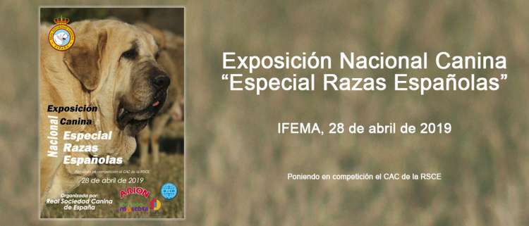 91 EXPOSICIÓN INTERNACIONAL DE PRIMAVERA DE MADRID