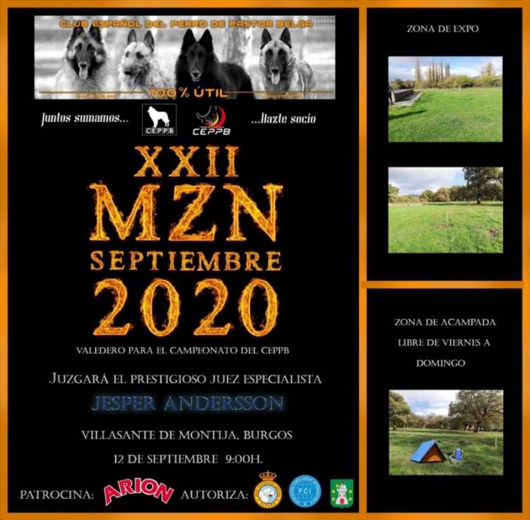 CLUB ESPAÑOL DEL PERRO DE PASTOR BELGA - Belleza. XXII EXPOSICIÓN MORFOLÓGICA DEL PASTOR BELGA (Burgos   España)