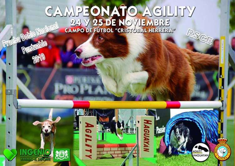 Prueba de Agility
