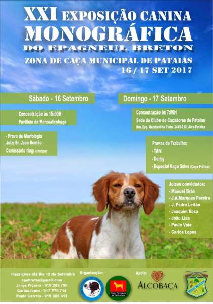 CLUBE PORTUGUÊS EPAGNEUL BRETON - CPEB - Spaniel Bretón. Belleza. XXI EXPOSICIÓN MONOGRÁFICA DEL EPAGNEUL BRETON (Leiria   Portugal)