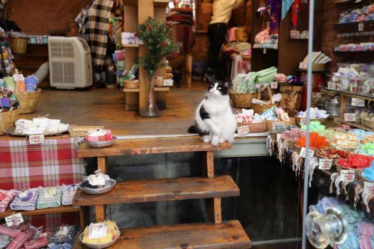 Foto  Goran Tomasevic   Reuters