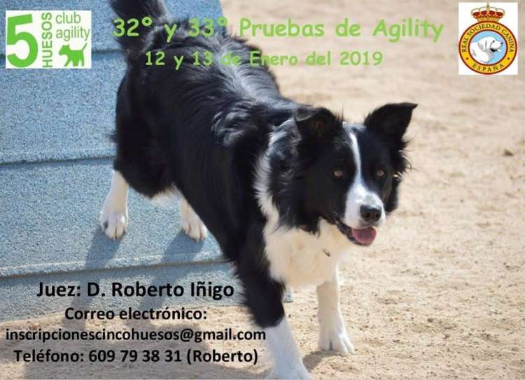 Prueba de Agility Prueba de Agility