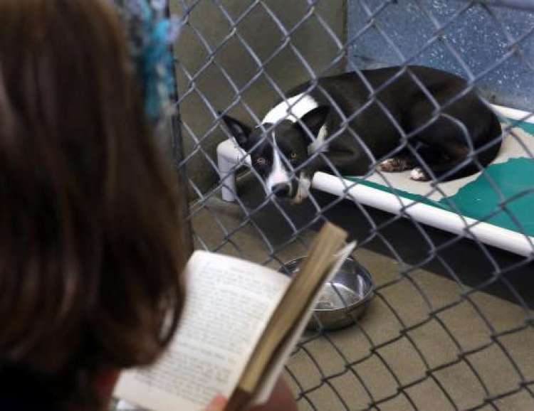 (Fuente  Oficina del Sheriff del Condado de Brevard)