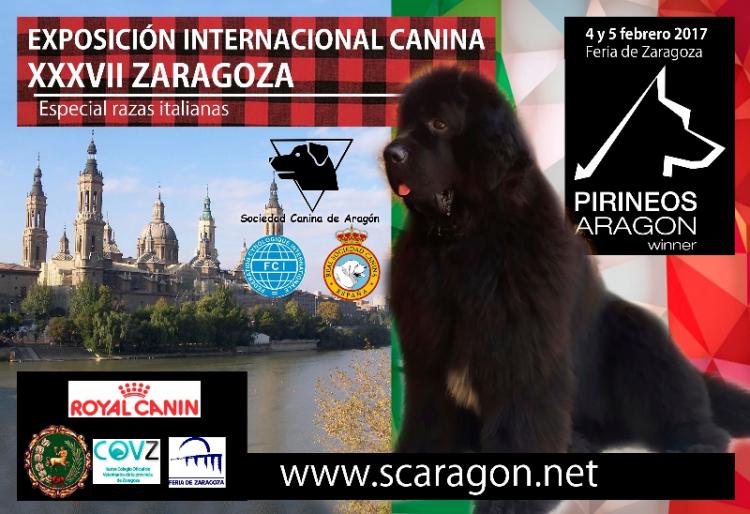 Cartel Exposición Internacional  Canina XXXVII Zaragoza