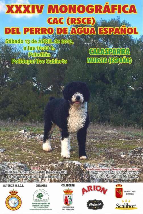 XXXIV EXPOSICIÓN MONOGRÁFICA DEL PERRO DE AGUA ESPAÑOL