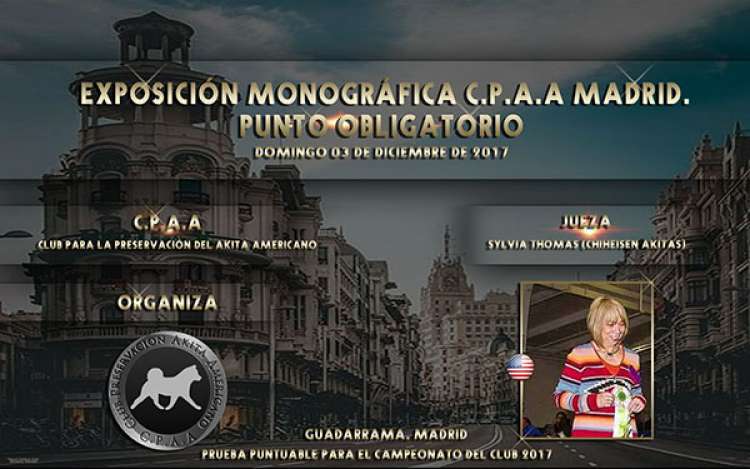 Belleza. EXPOSICIÓN MONOGRÁFICA DEL AKITA AMERICANO (Madrid   España)