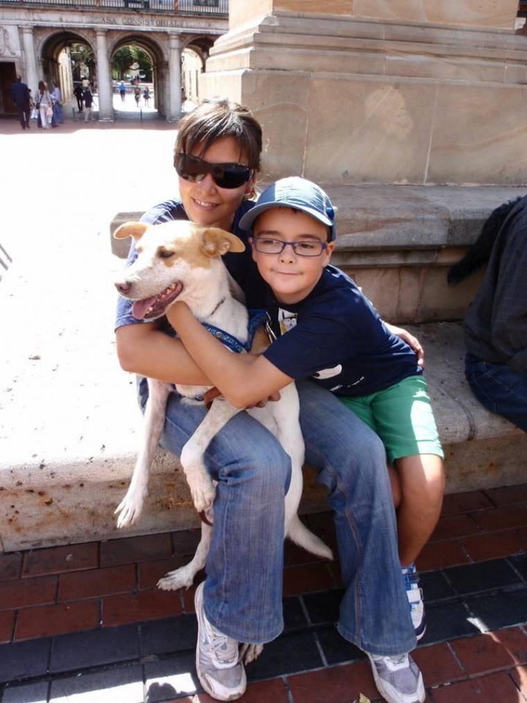 PAQUITO.  Perro en adopcion que busca casa.