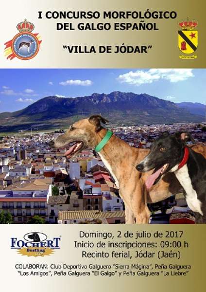 CLUB NACIONAL DEL GALGO ESPAÑOL - Galgo Español. Belleza. I CONCURSO MORFOLÓGICO DEL GALGO ESPAÑOL (Jaén   España)