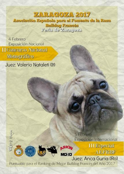 ASOCIACIÓN ESPAÑOLA PARA EL FOMENTO DE LA RAZA BULLDOG FRANCÉS - Belleza. II Concurso Nacional Monográfico AEFRBF´17   bulldog francés   (Zaragoza   España)