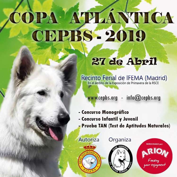 PETSmania - Pastor Blanco Suizo.