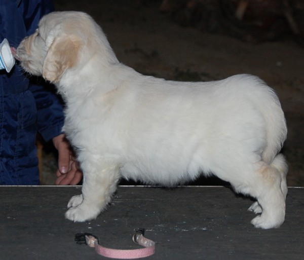 Prevención de las afecciones neonatales. 