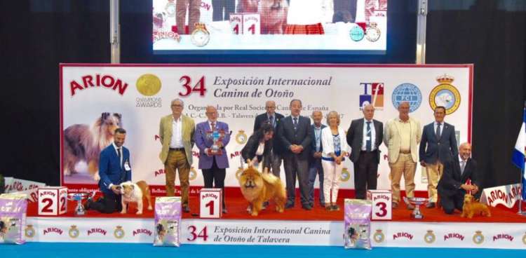 PETSmania - Mejores ejemplares de la 34º Exposición Internacional Canina de Otoño