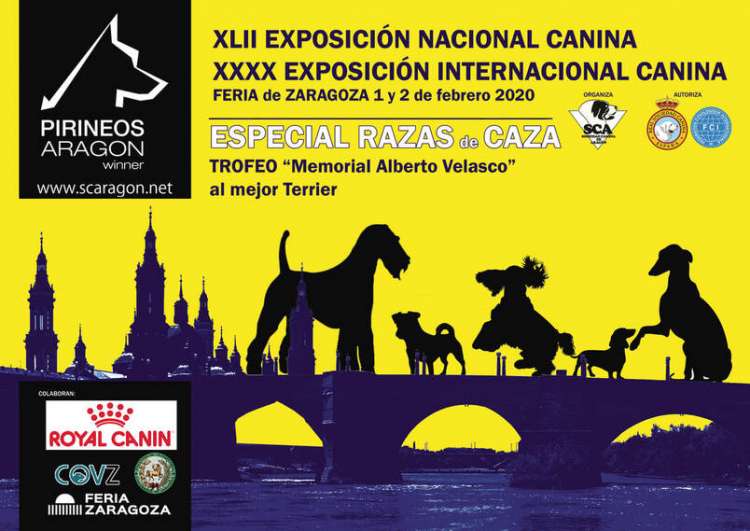 Belleza. XLII EXPOSICIÓN NACIONAL CANINA (Zaragoza   España)