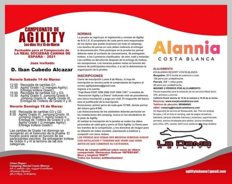 CLUB DE AGILITY LA DAMA - Agility. Prueba de Agility (Alacant   España)