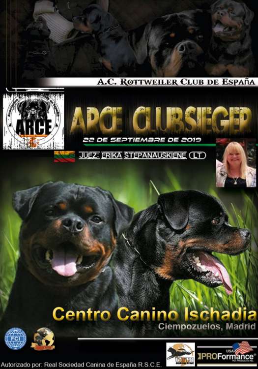 Belleza. CLUBSIEGER DE ESPAÑA A.R.C.E. 2019   ROTTWEILER (Madrid   España)