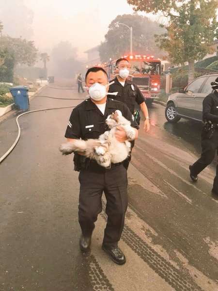 Policía al momento de rescatar al gato. (FOTO LAPD)