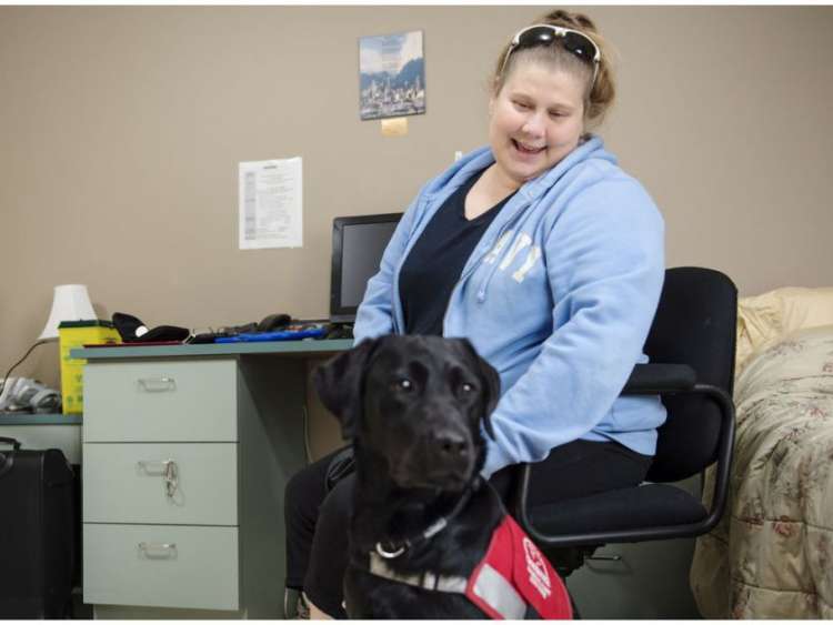 PETSmania - Carrie Lemay junto a su nuevo perro de alerta diabética