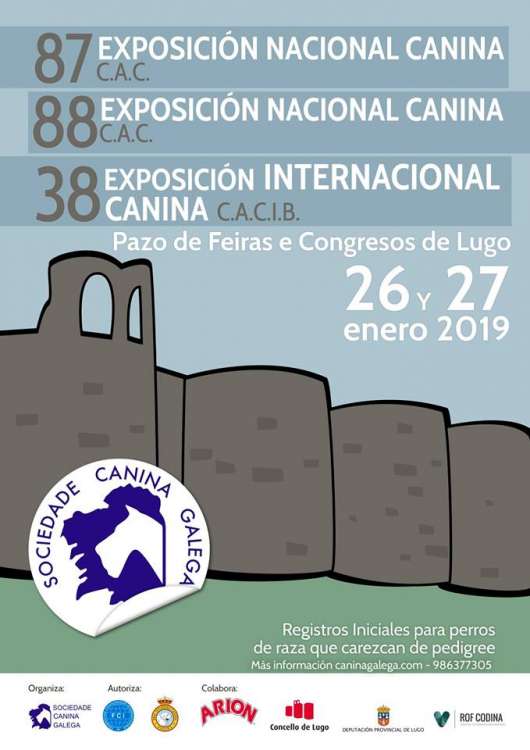 Sociedad Canina Gallega - Belleza. 88 EXPOSICIÓN NACIONAL CANINA C.A.C. y 38 EXPOSICIÓN INTERNACIONAL CANINA C.A.C.I.B. (Lugo   España)