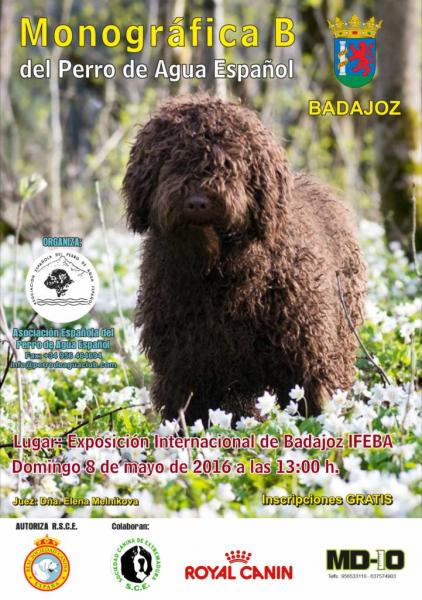 Belleza. EXPOSICIÓN Monográfica B en Badajoz (Badajoz   España)