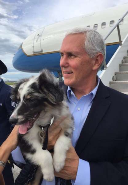 Vicepresidente Mike Pence tiene nuevo perro Vicepresidente Mike Pence tiene nuevo perro