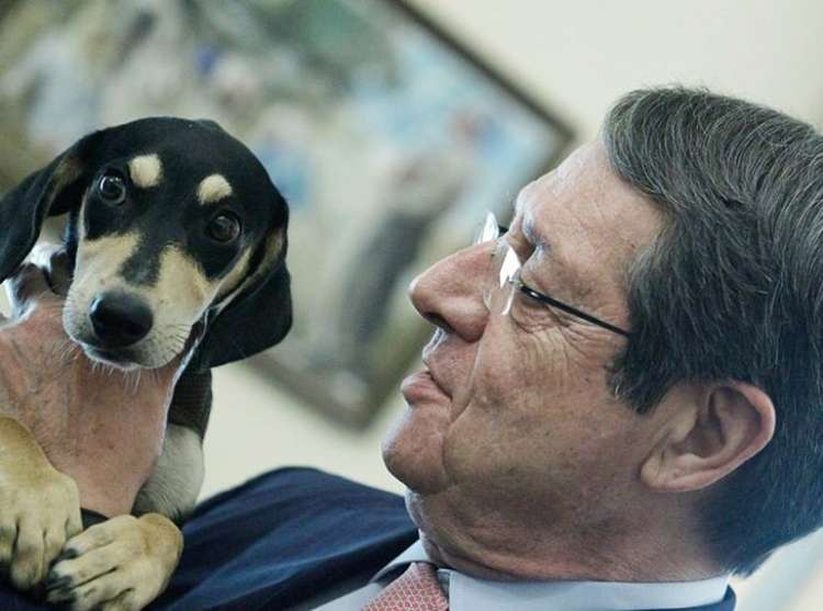 PETSmania - El presidente Nicos Anastasiades con su perro adoptado Freed (Foto  CyprusMail.Online)