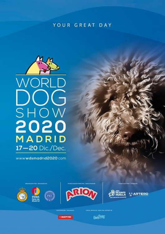 Real Sociedad Canina de España - Belleza. WORLD DOG SHOW 2020 MADRID (Madrid   España)