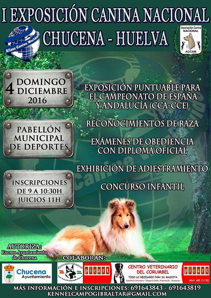 Belleza. I EXPOSICIÓN CANINA NACIONAL (Huelva   España)