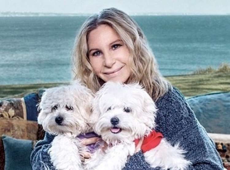 (Fuente  Instagram de Barbra Streisand)