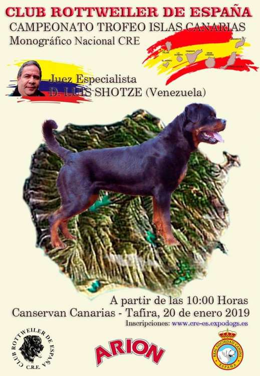 PETSmania - Concursos Morfológico del Rottweiler