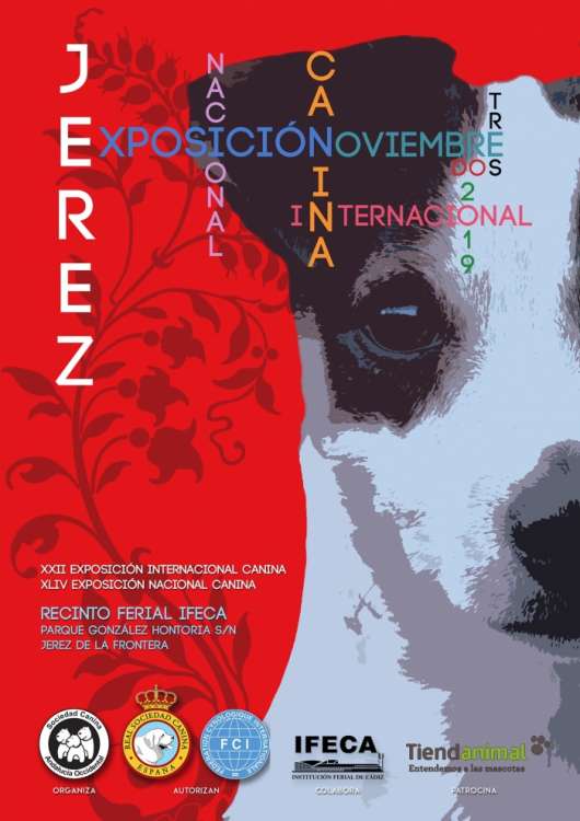 Belleza. XXII EXPOSICIÓN INTERNACIONAL CANINA (Cádiz   España)