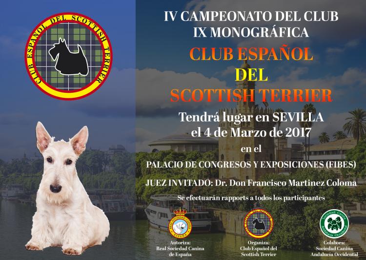 CLUB ESPAÑOL DEL SCOTTISH TERRIER - Belleza. IV CAMPEONATO DEL CLUB SEVILLA    9ª MONOGRÁFÍCA del SCOTTISH TERRIER (Sevilla   España)