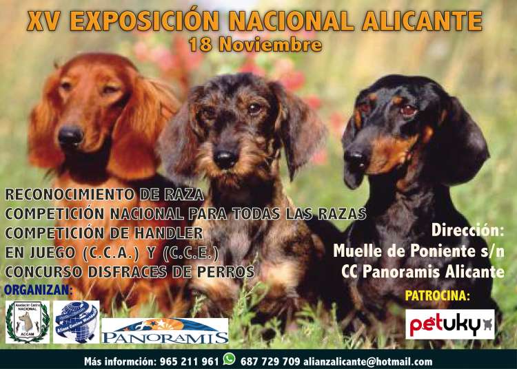 Asociación Canina Nacional - ACCAM - Belleza. XV Exposición Canina Nacional de Alicante (Alacant   España)