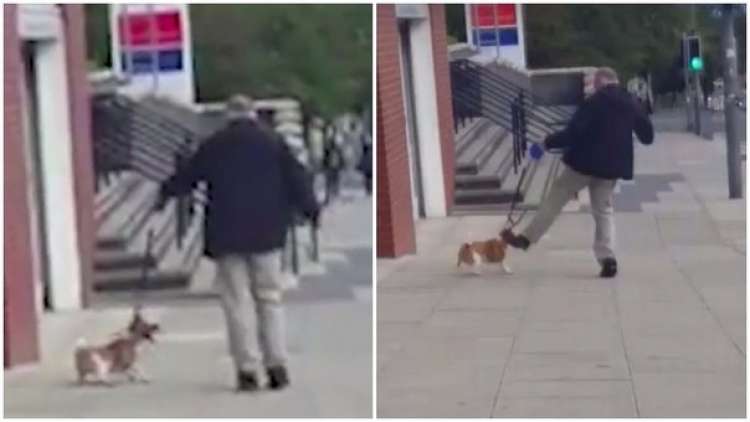 Facebook hombre patea salvajemente a su perro (VIDEO) Facebook hombre patea salvajemente a su perro (VIDEO)