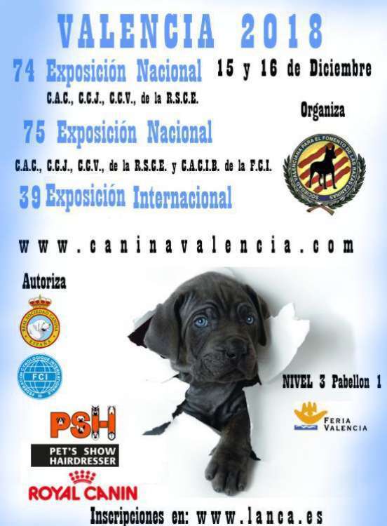 EXPOSITION CANINE INTERNATIONALE (CACS CACIB) EXPOSITION CANINE INTERNATIONALE (CACS CACIB)